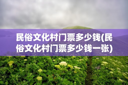 民俗文化村门票多少钱(民俗文化村门票多少钱一张)