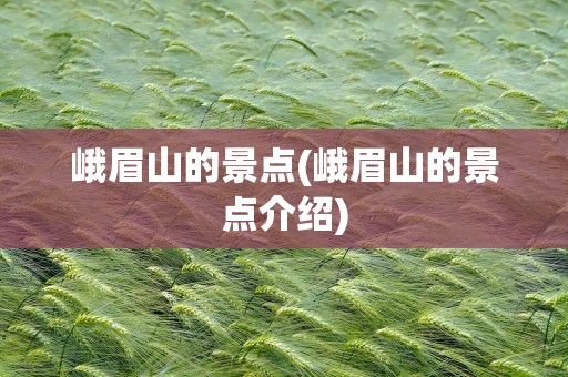 峨眉山的景点(峨眉山的景点介绍)