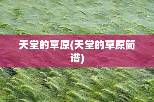 天堂的草原(天堂的草原简谱)
