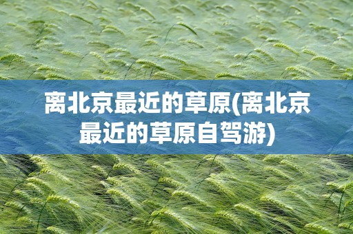 离北京最近的草原(离北京最近的草原自驾游)