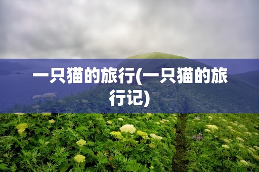 一只猫的旅行(一只猫的旅行记)