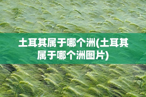 土耳其属于哪个洲(土耳其属于哪个洲图片)