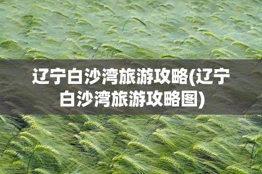 辽宁白沙湾旅游攻略(辽宁白沙湾旅游攻略图)