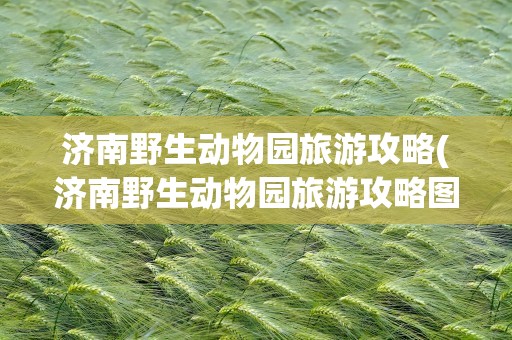 济南野生动物园旅游攻略(济南野生动物园旅游攻略图)