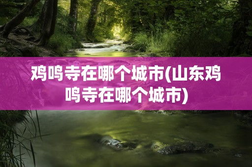 鸡鸣寺在哪个城市(山东鸡鸣寺在哪个城市)