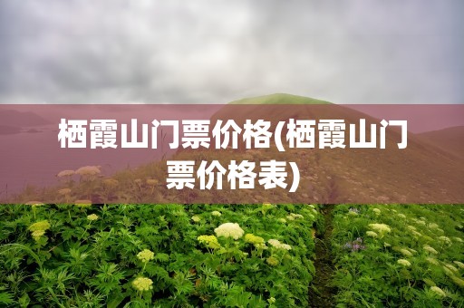 栖霞山门票价格(栖霞山门票价格表)