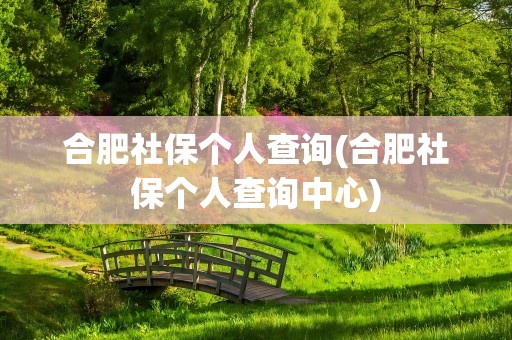 合肥社保个人查询(合肥社保个人查询中心)