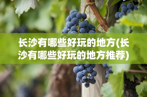 长沙有哪些好玩的地方(长沙有哪些好玩的地方推荐)