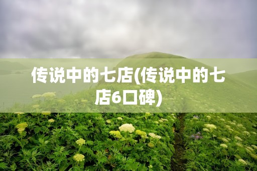 传说中的七店(传说中的七店6口碑)