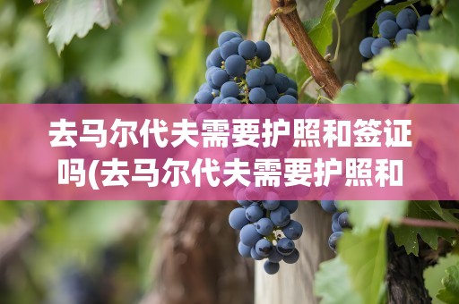 去马尔代夫需要护照和签证吗(去马尔代夫需要护照和签证吗现在)