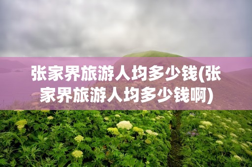 张家界旅游人均多少钱(张家界旅游人均多少钱啊)