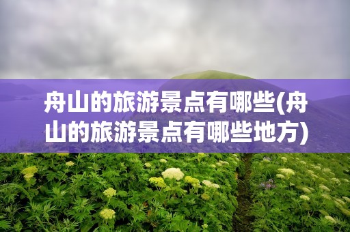 舟山的旅游景点有哪些(舟山的旅游景点有哪些地方)