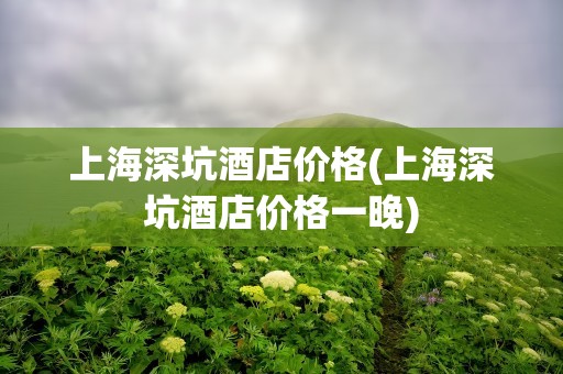 上海深坑酒店价格(上海深坑酒店价格一晚)