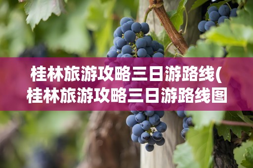 桂林旅游攻略三日游路线(桂林旅游攻略三日游路线图)
