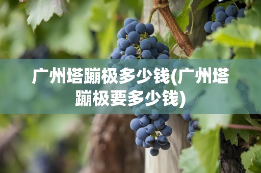 广州塔蹦极多少钱(广州塔蹦极要多少钱)