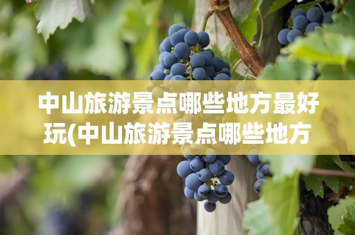 中山旅游景点哪些地方最好玩(中山旅游景点哪些地方最好玩免费)