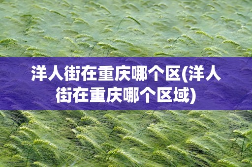 洋人街在重庆哪个区(洋人街在重庆哪个区域)