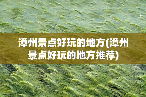 漳州景点好玩的地方(漳州景点好玩的地方推荐)