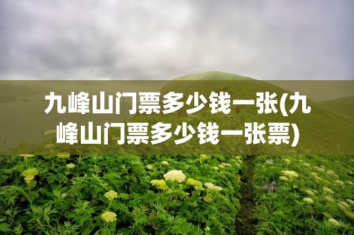 九峰山门票多少钱一张(九峰山门票多少钱一张票)