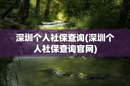 深圳个人社保查询(深圳个人社保查询官网)