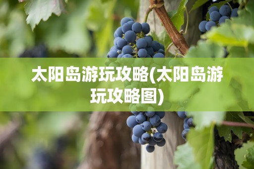 太阳岛游玩攻略(太阳岛游玩攻略图)
