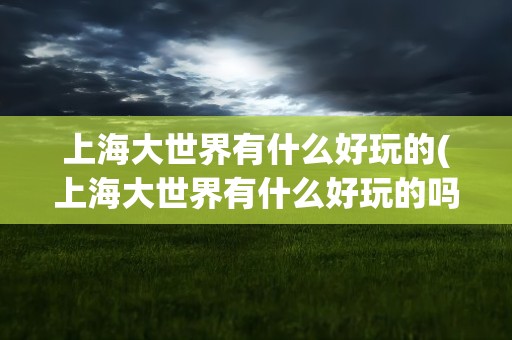 上海大世界有什么好玩的(上海大世界有什么好玩的吗)