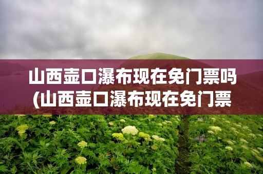 山西壶口瀑布现在免门票吗(山西壶口瀑布现在免门票吗最近)