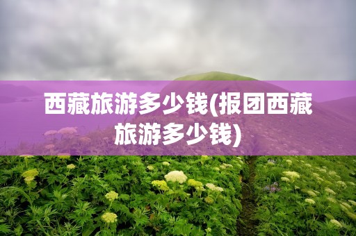 西藏旅游多少钱(报团西藏旅游多少钱)