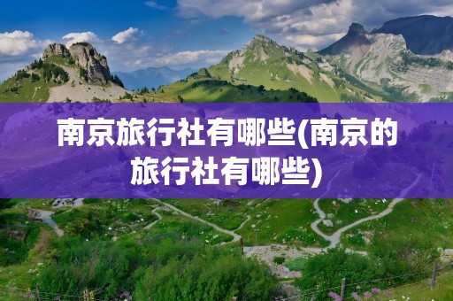 南京旅行社有哪些(南京的旅行社有哪些)