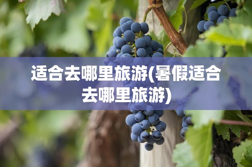 适合去哪里旅游(暑假适合去哪里旅游)