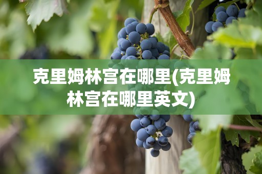 克里姆林宫在哪里(克里姆林宫在哪里英文)
