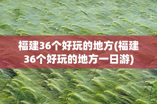 福建36个好玩的地方(福建36个好玩的地方一日游)