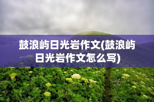 鼓浪屿日光岩作文(鼓浪屿日光岩作文怎么写)