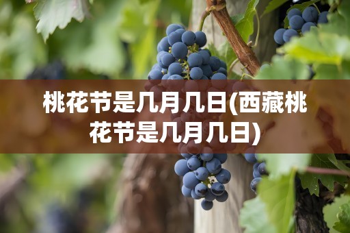 桃花节是几月几日(西藏桃花节是几月几日)