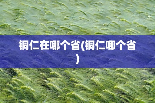 铜仁在哪个省(铜仁哪个省)