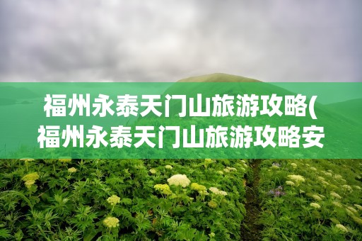 福州永泰天门山旅游攻略(福州永泰天门山旅游攻略安排)