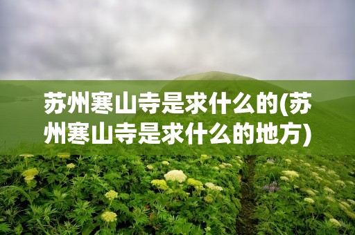 苏州寒山寺是求什么的(苏州寒山寺是求什么的地方)