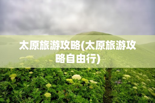 太原旅游攻略(太原旅游攻略自由行)
