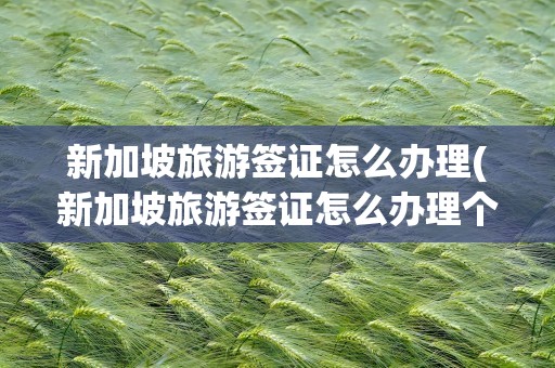 新加坡旅游签证怎么办理(新加坡旅游签证怎么办理个人)