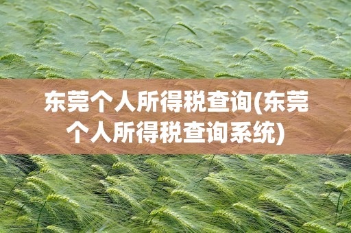 东莞个人所得税查询(东莞个人所得税查询系统)