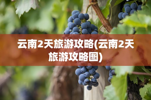 云南2天旅游攻略(云南2天旅游攻略图)