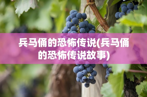 兵马俑的恐怖传说(兵马俑的恐怖传说故事)