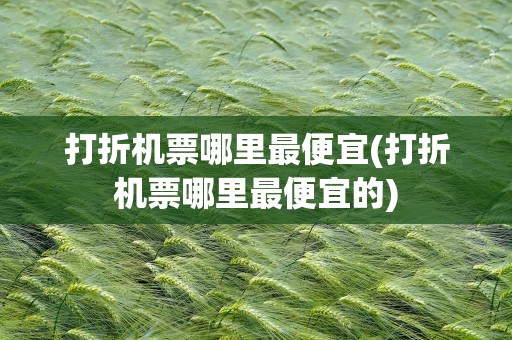 打折机票哪里最便宜(打折机票哪里最便宜的)