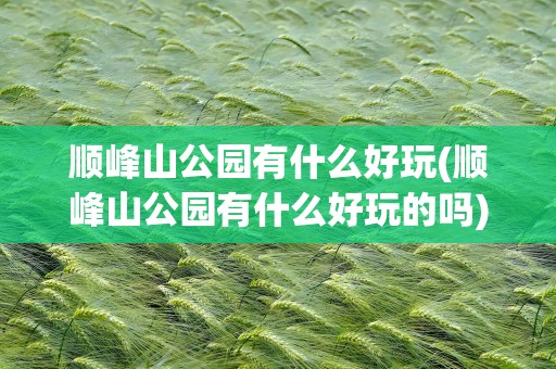 顺峰山公园有什么好玩(顺峰山公园有什么好玩的吗)