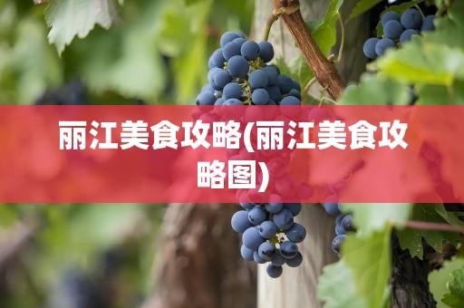 丽江美食攻略(丽江美食攻略图)