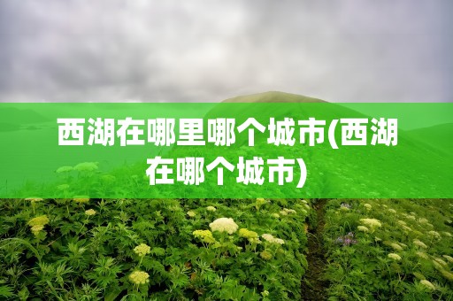 西湖在哪里哪个城市(西湖在哪个城市)