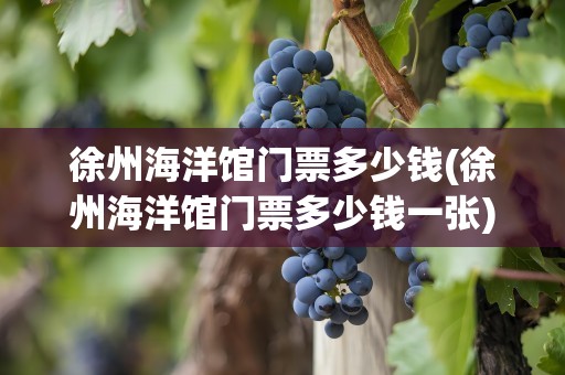 徐州海洋馆门票多少钱(徐州海洋馆门票多少钱一张)