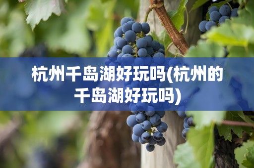 杭州千岛湖好玩吗(杭州的千岛湖好玩吗)