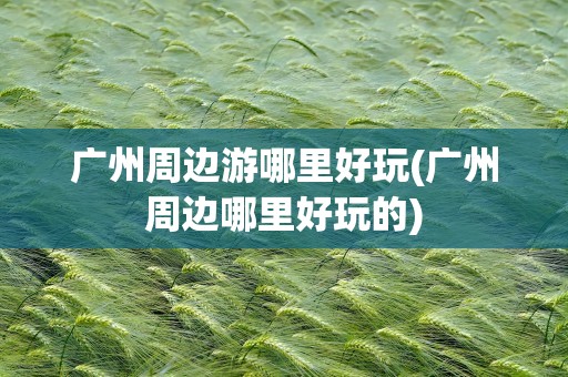 广州周边游哪里好玩(广州周边哪里好玩的)