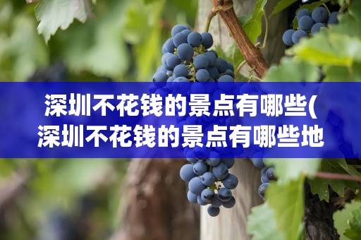 深圳不花钱的景点有哪些(深圳不花钱的景点有哪些地方)